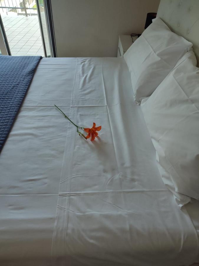 Vittoria Rooms Peschiera ペスキエーラ・デル・ガルダ エクステリア 写真